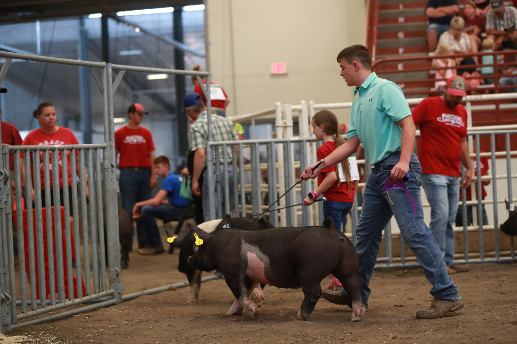 071119_HallCoFair22_bjs.JPG